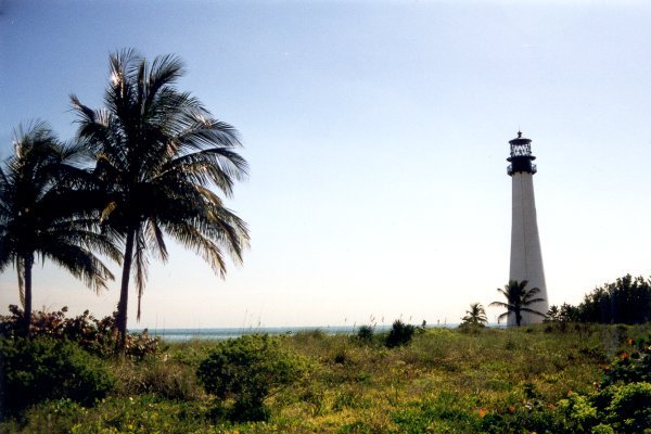 Lighthouse and Palmtrees